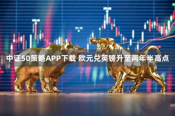 中证50策略APP下载 欧元兑英镑升至两年半高点