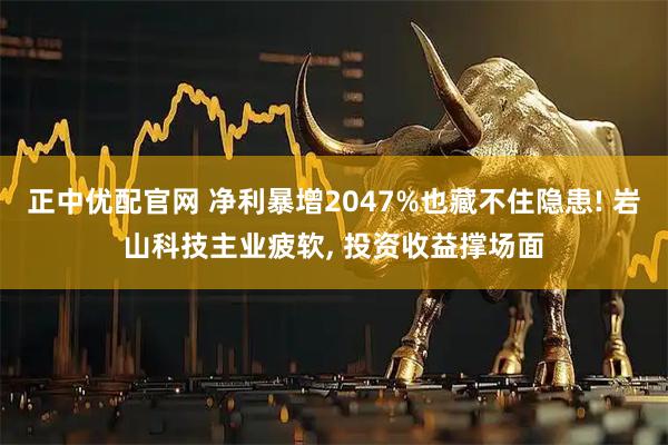 正中优配官网 净利暴增2047%也藏不住隐患! 岩山科技主业疲软, 投资收益撑场面