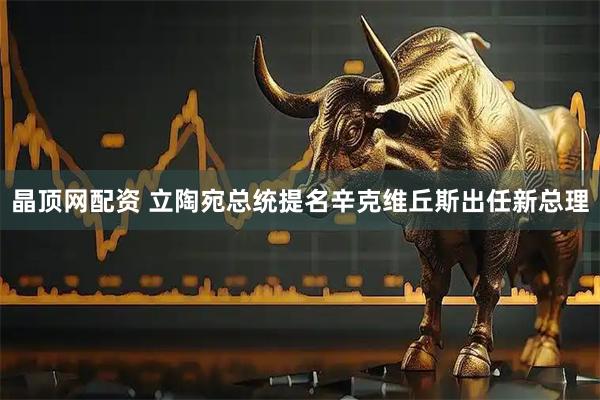 晶顶网配资 立陶宛总统提名辛克维丘斯出任新总理